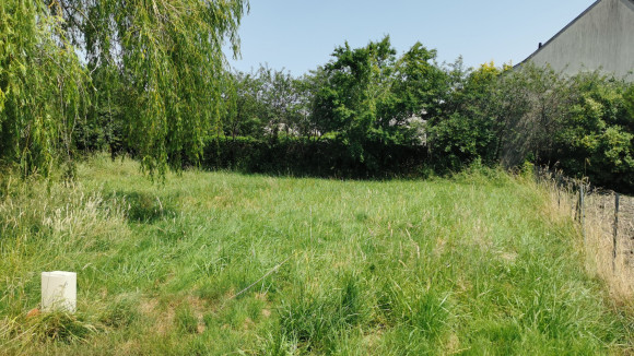 terrain savo2.jpg