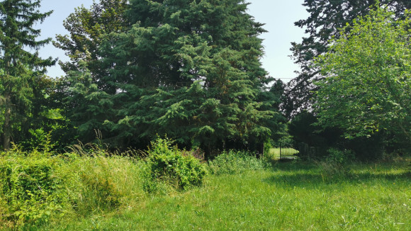 terrain savo 5.jpg