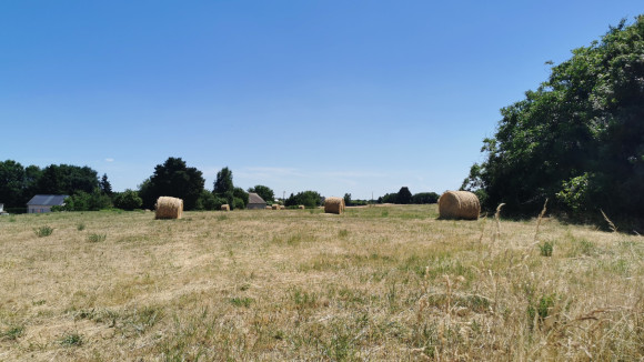beaumont 7.jpg
