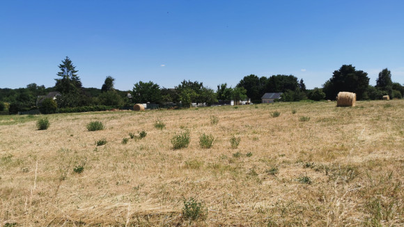 beaumont 4.jpg