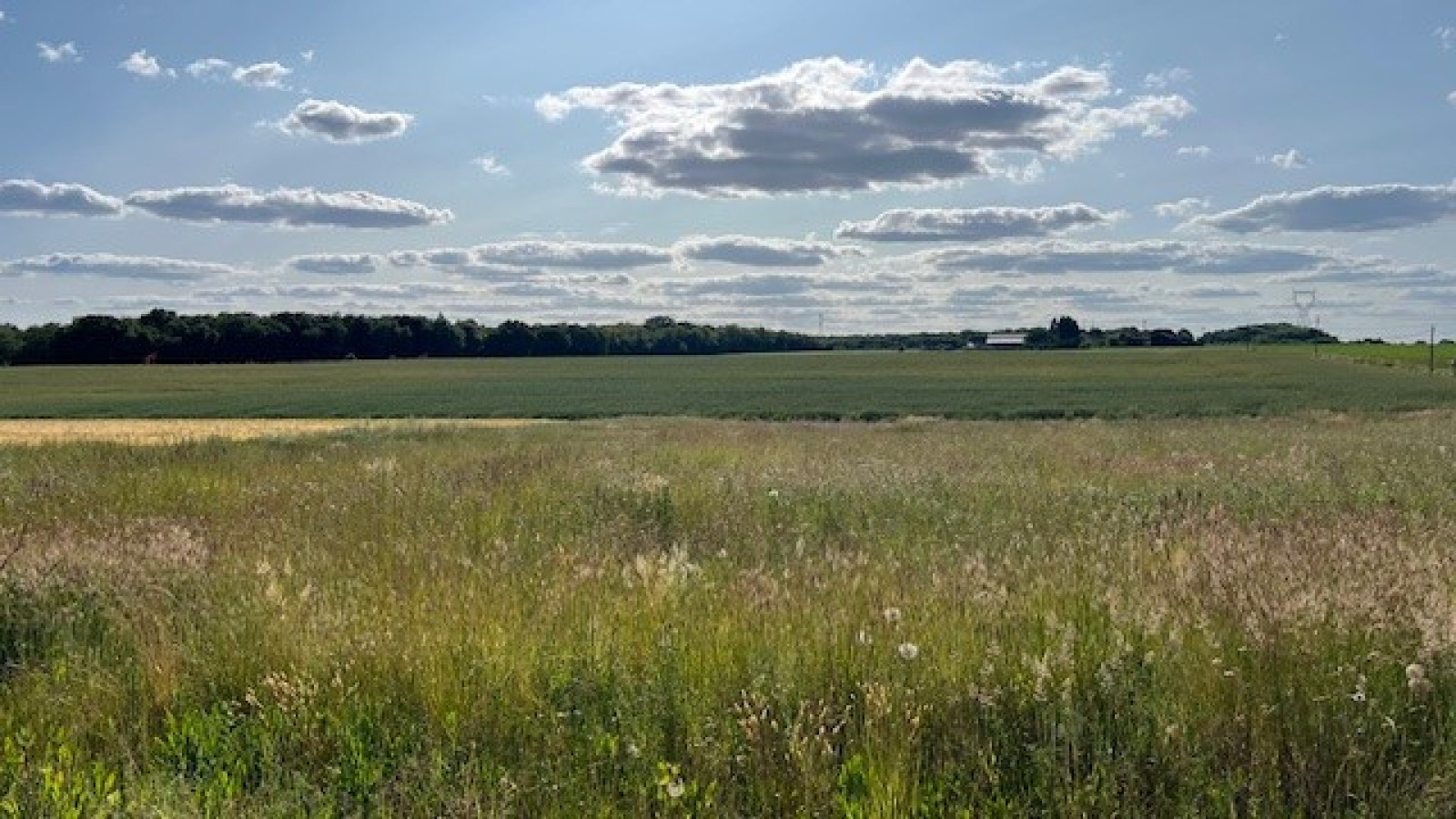 Terrain constructible de 1249m2 à Mettray