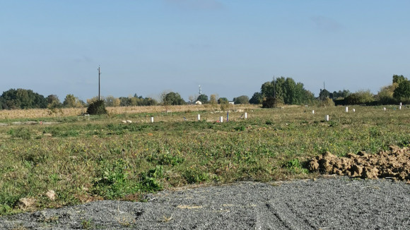 luynes 11.jpg