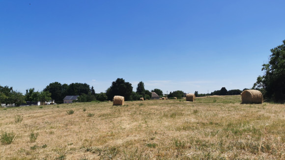 beaumont 1.jpg
