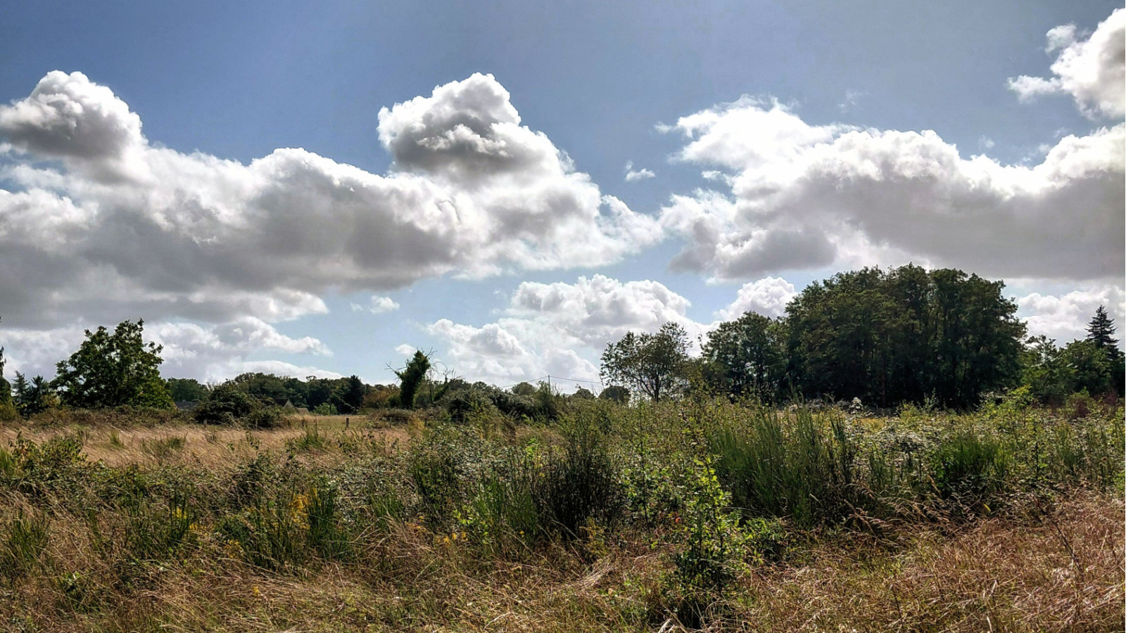 Terrain constructible de 455m2 à Neuillé-Pont-Pierre
