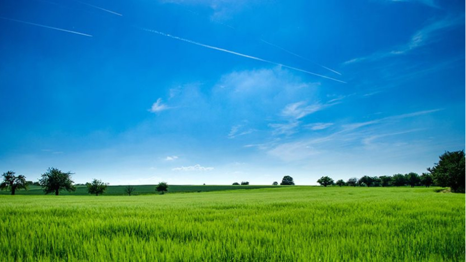 Terrain constructible de 867m2 à Azay-sur-Cher