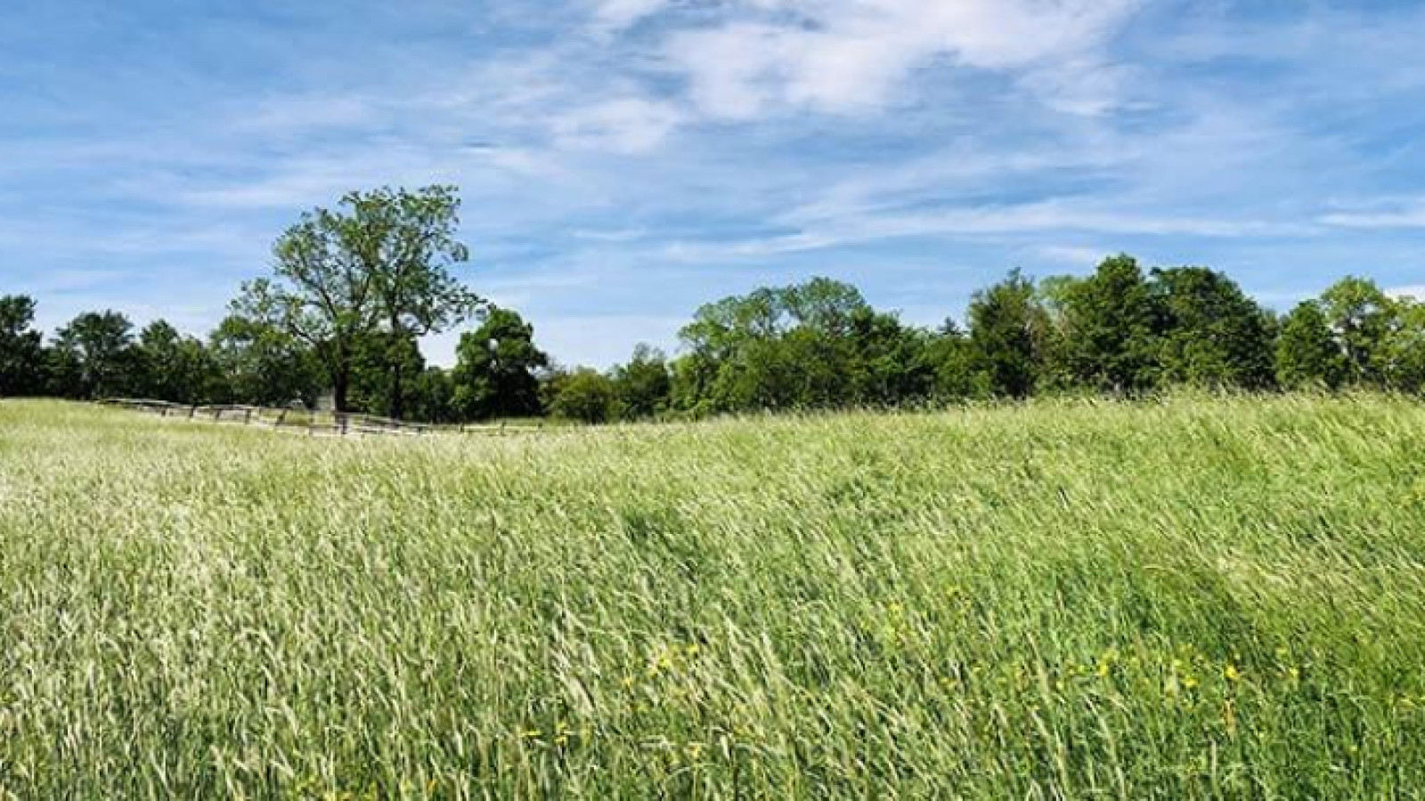 Terrain constructible de 402m2 à Druye