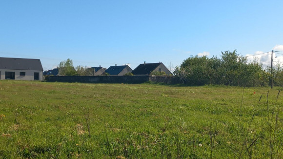 Druye 2.jpg