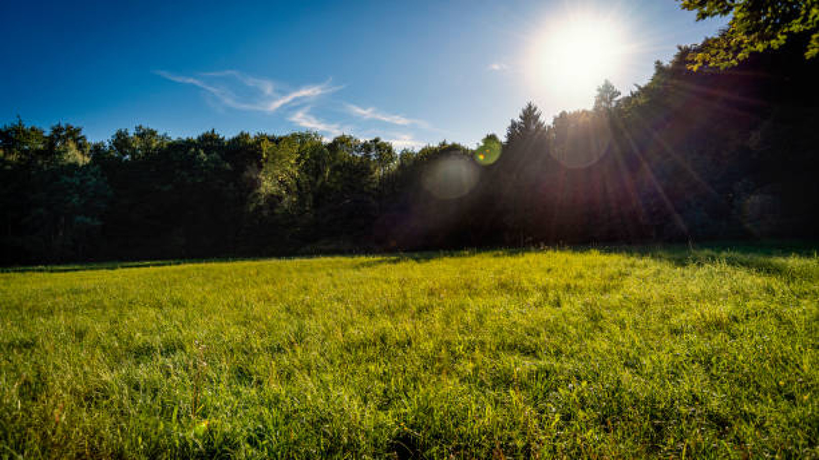 Terrain constructible de 404m2 à Nouzilly