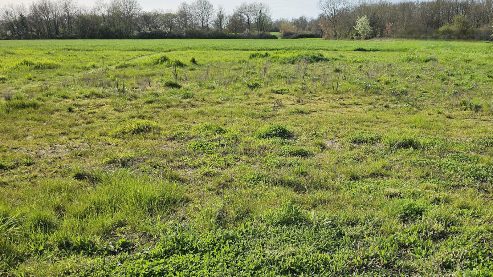 Terrain constructible de 524m2 à Sainte-Maure-de-Touraine