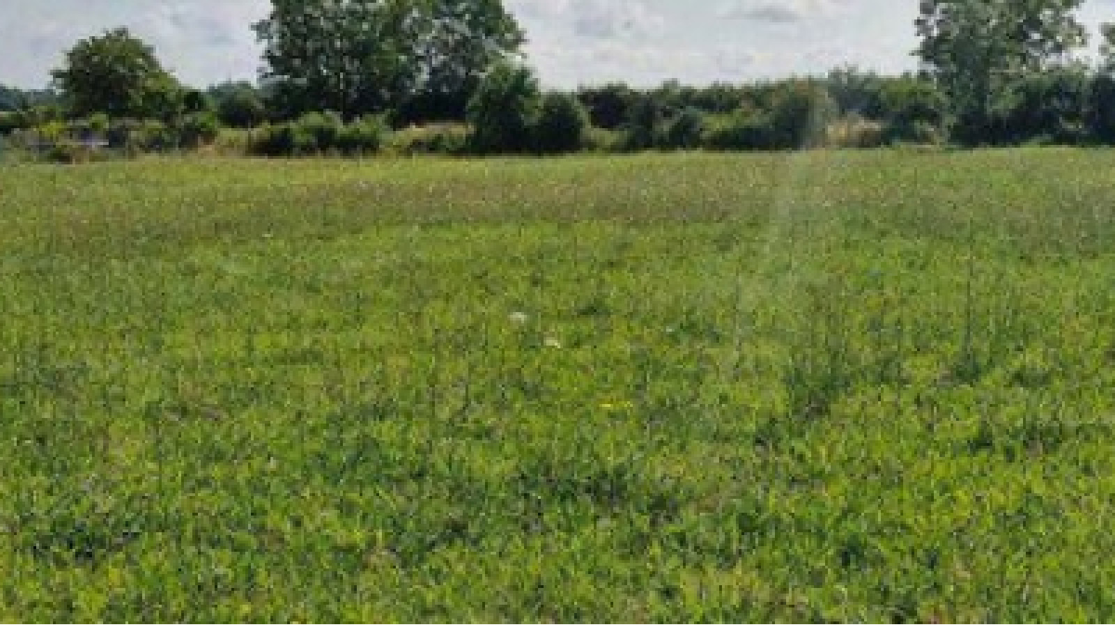 Terrain constructible de 613m2 à Larçay