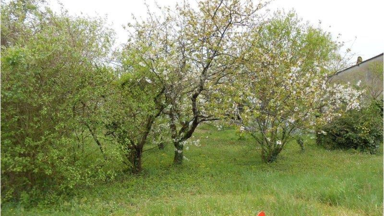 Terrain constructible de 430m2 à Montlouis-sur-Loire