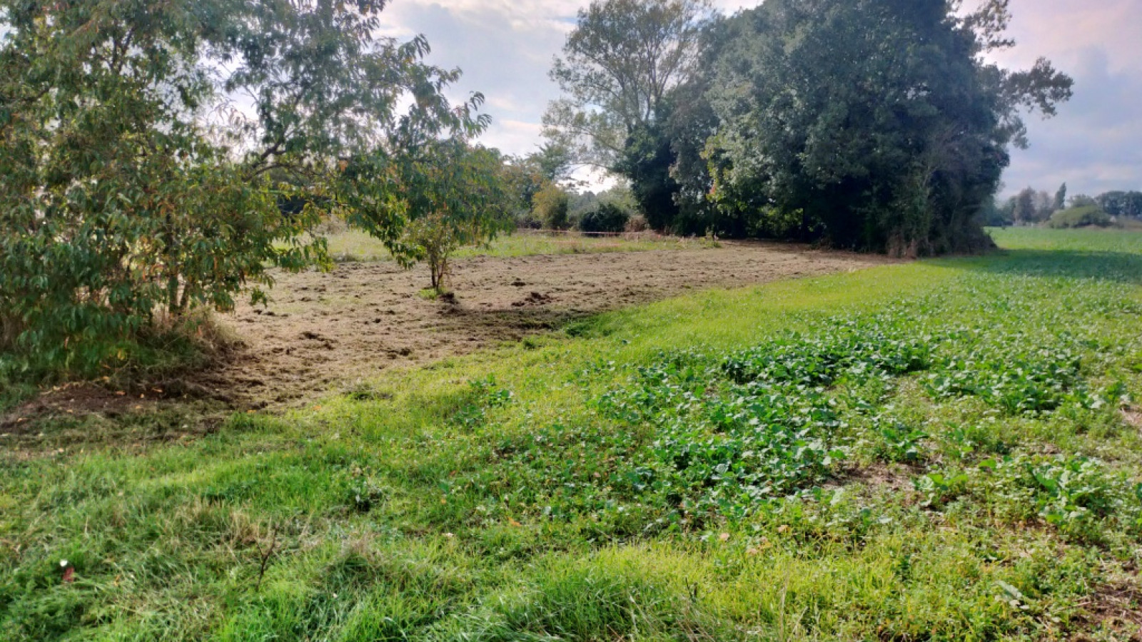Terrain constructible de 553m2 à Montbazon