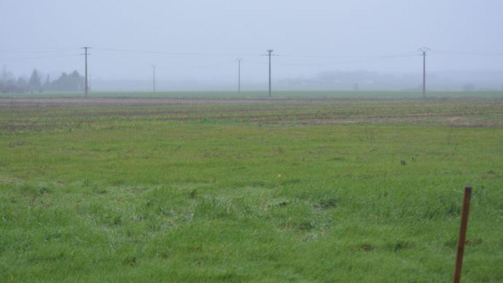 Terrain constructible de 1400m2 à Marçay