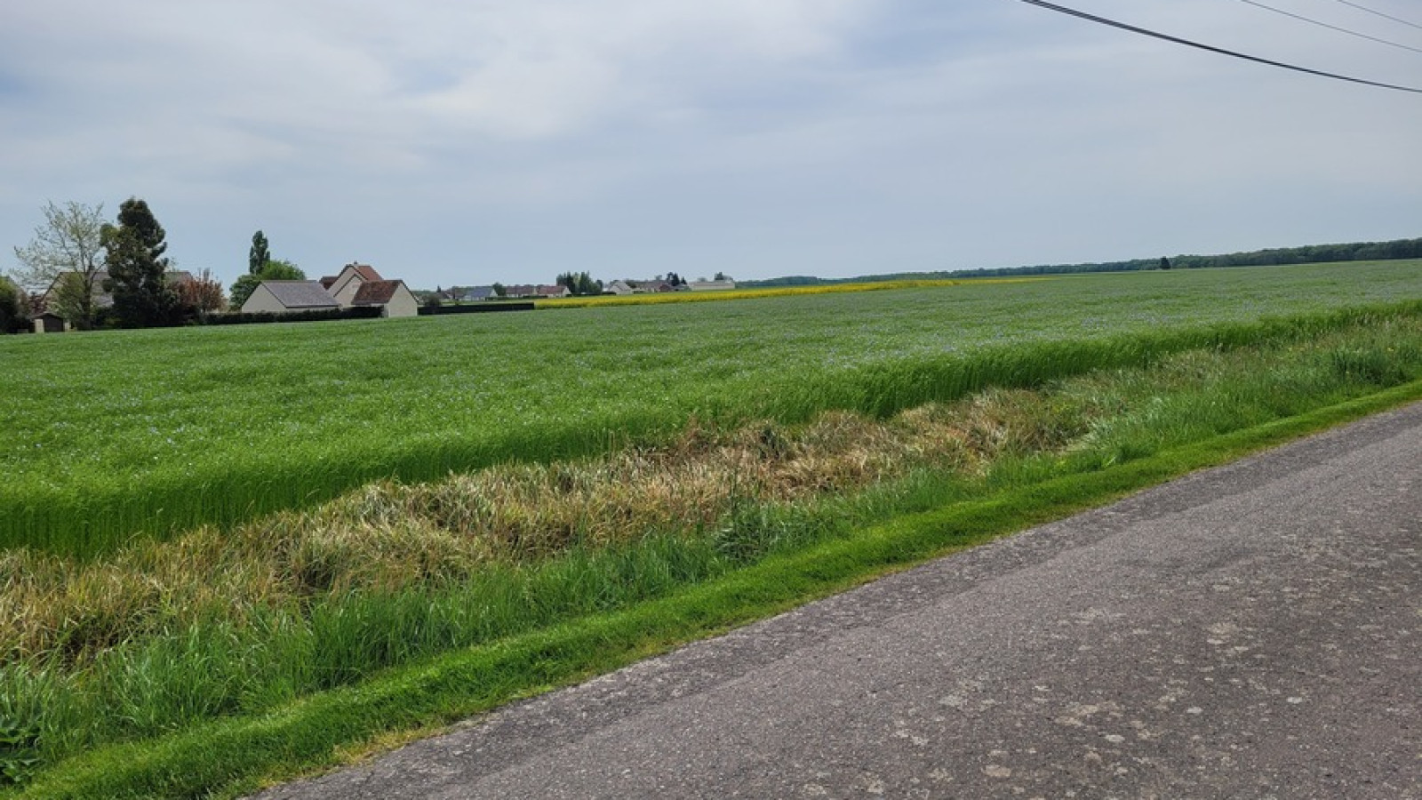 Terrain constructible de 628m2 à Saint-Laurent-en-Gâtines