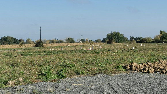 luynes 11.jpg
