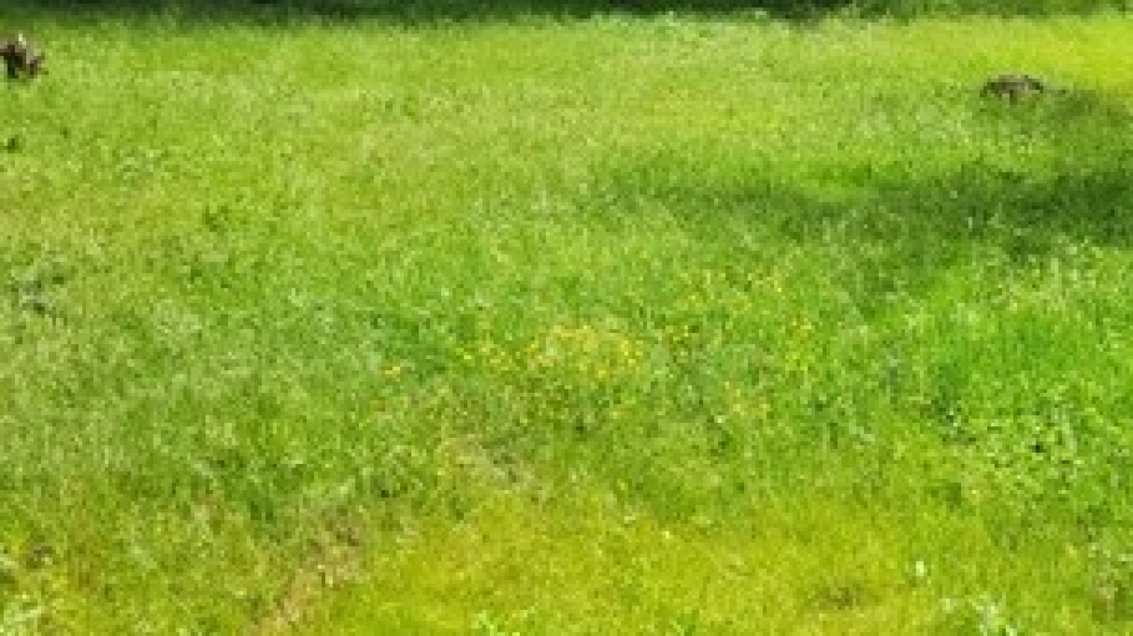 Terrain constructible de 1000m2 à Fondettes
