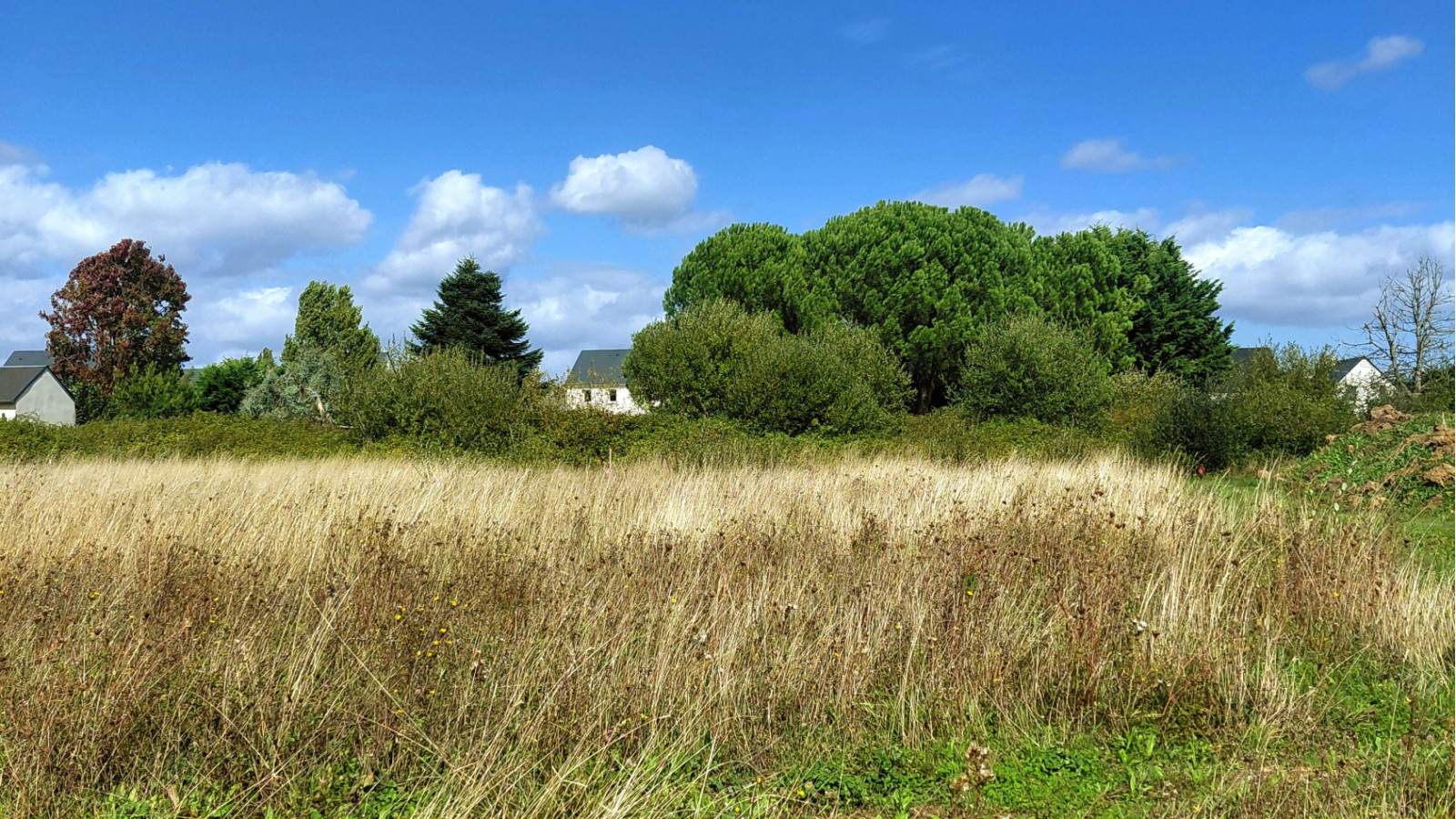 Terrain constructible de 360m2 à Lignières-de-Touraine