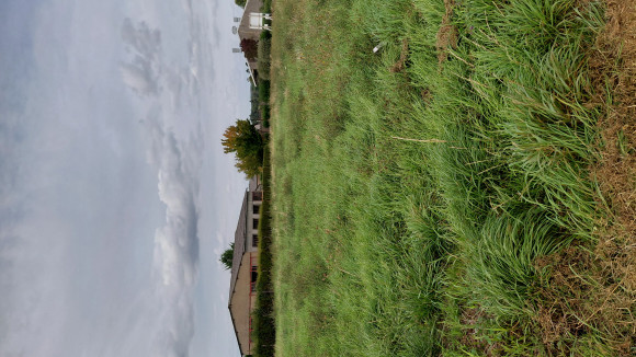 20250916_170335.jpg