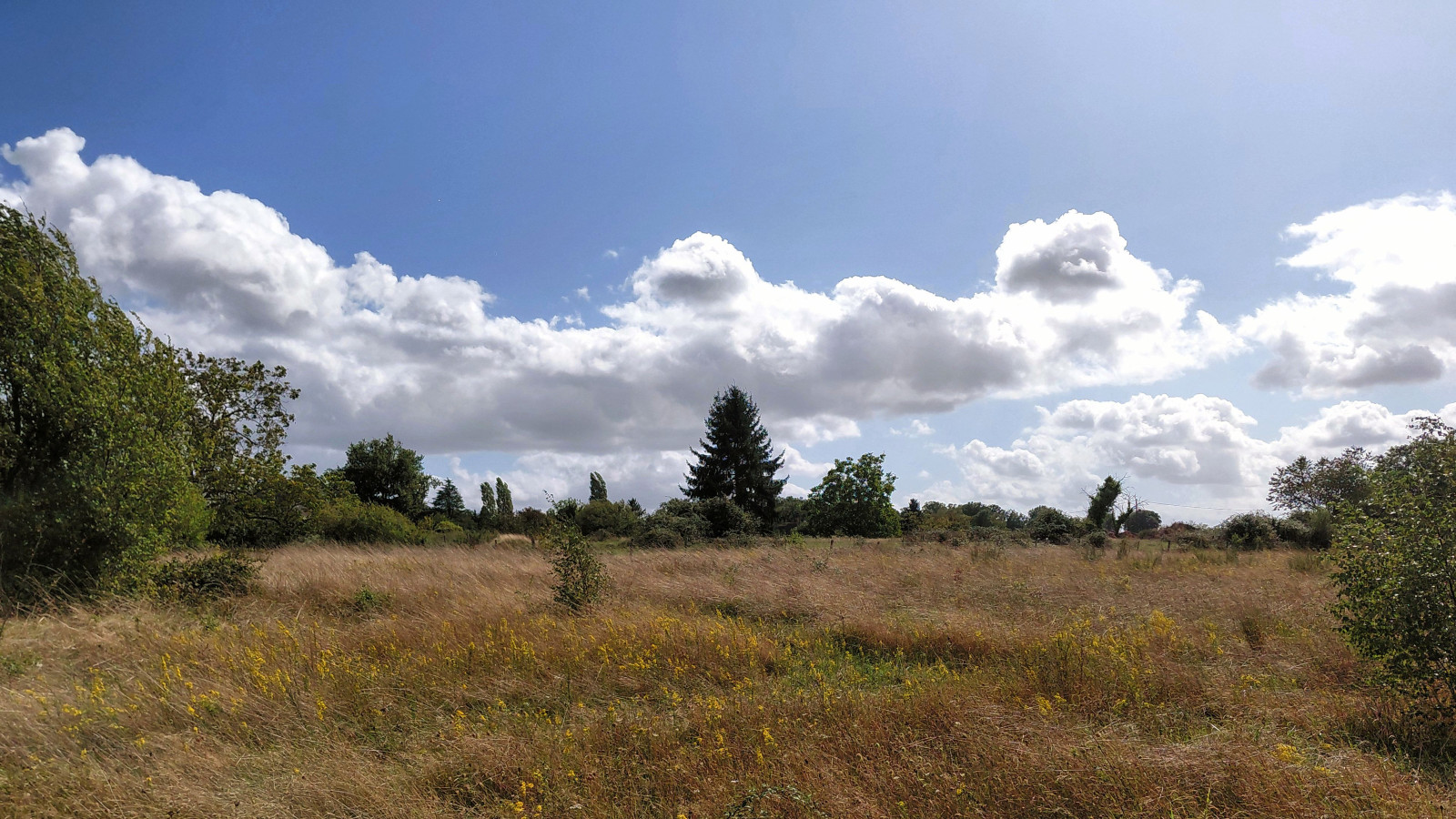 Terrain constructible de 386m2 à Beaumont-Louestault