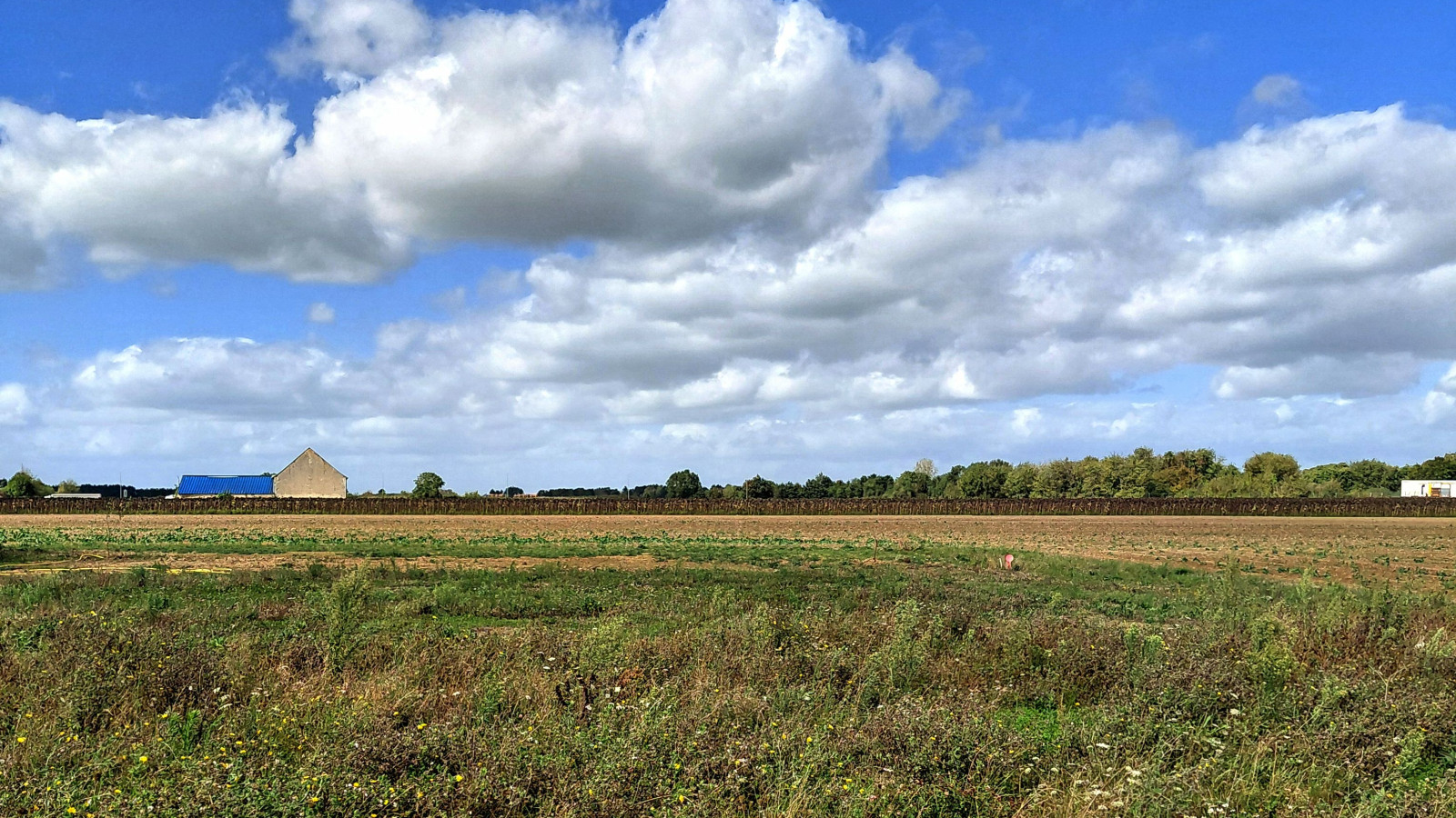 Terrain constructible de 814m2 à Nouzilly