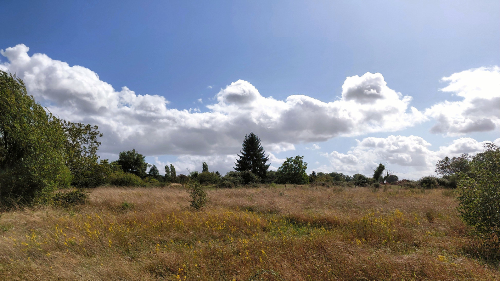 Terrain constructible de 353m2 à Manthelan