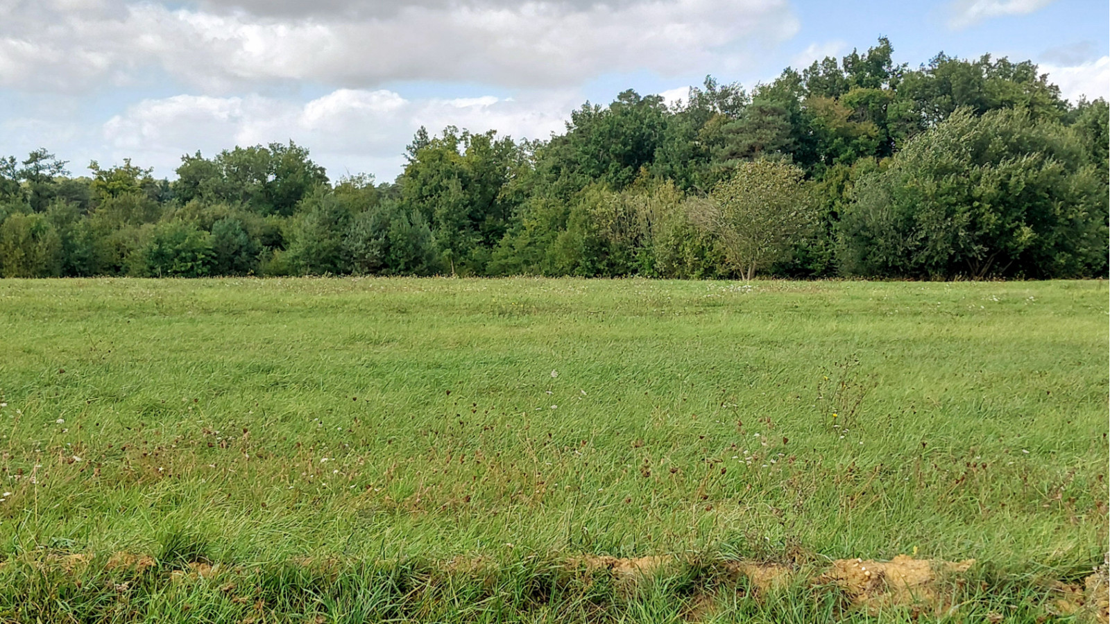 Terrain constructible de 584m2 à Tauxigny-Saint-Bauld