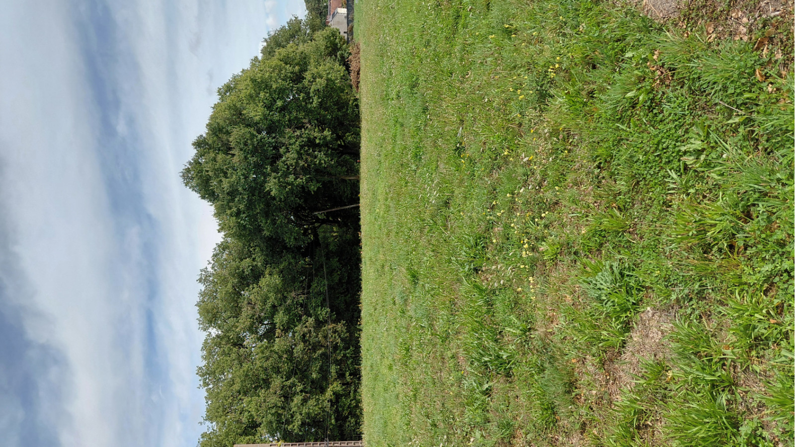 Terrain constructible de 501m2 à Cinq-Mars-la-Pile