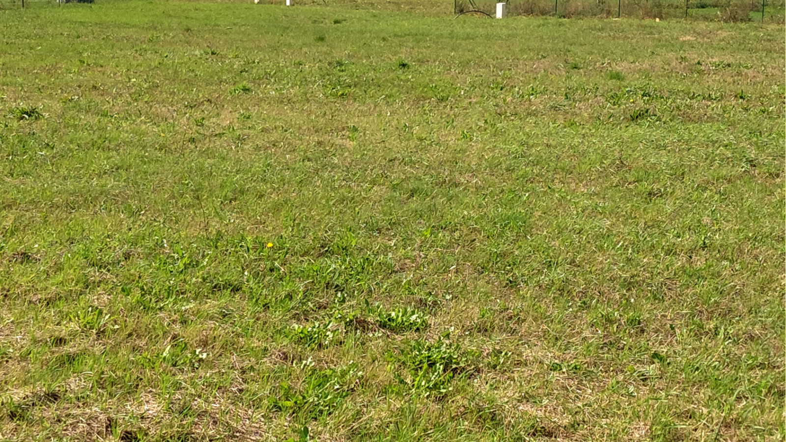 Terrain constructible de 533m2 à Tauxigny-Saint-Bauld