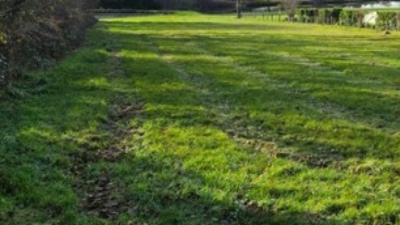 TERRAIN 2.jpg