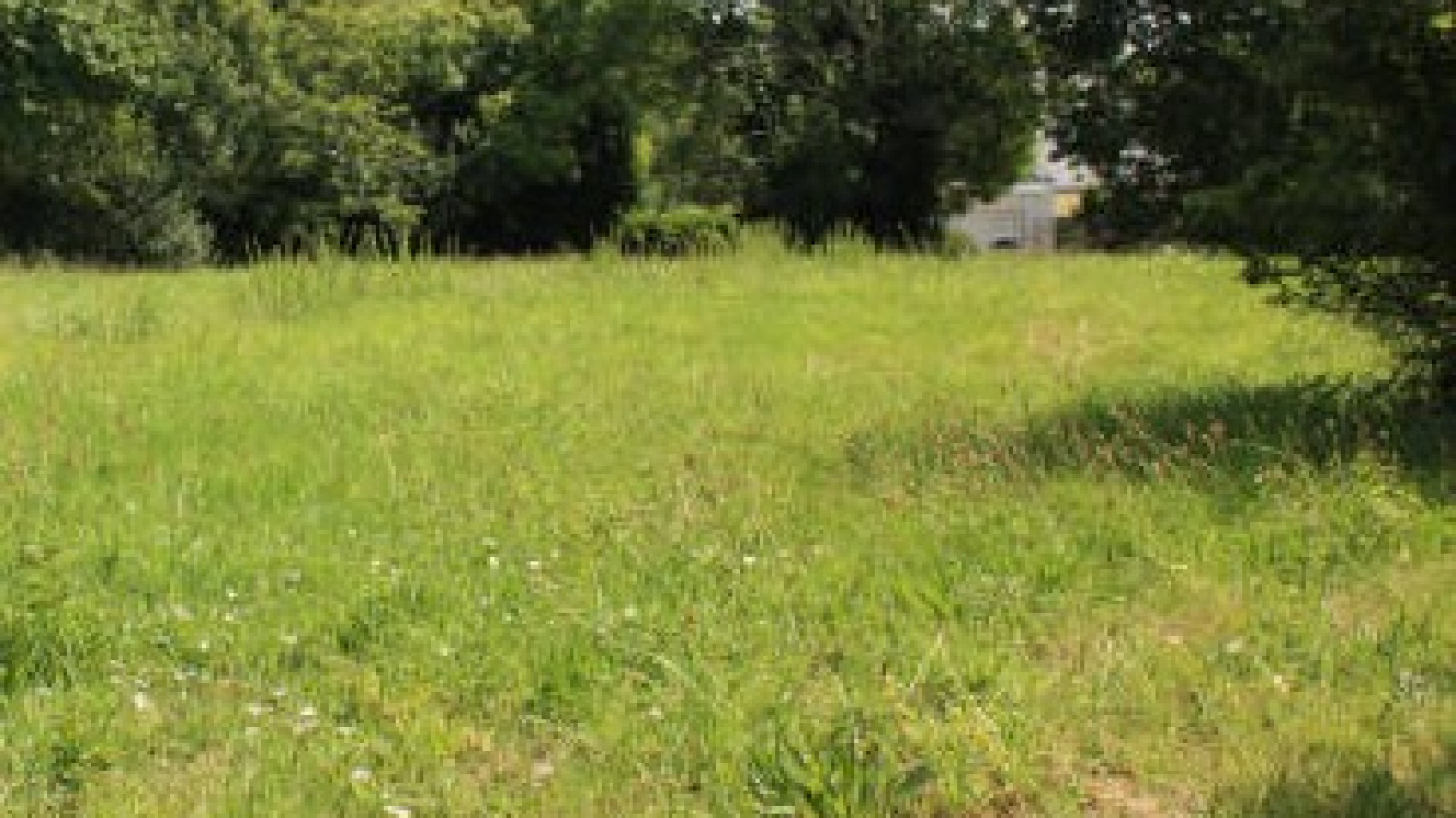 Terrain constructible de 810m2 à Fondettes