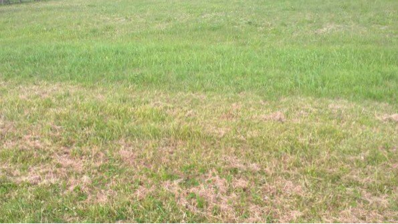Terrain constructible de 1200m2 à Huismes