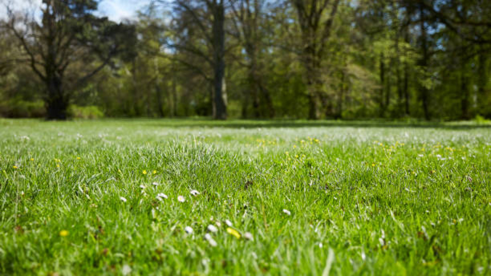 Terrain constructible de 691m2 à Semblançay