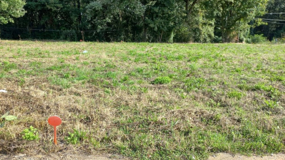 LOT LA MARTINIERE VEIGNE VAP.jpg
