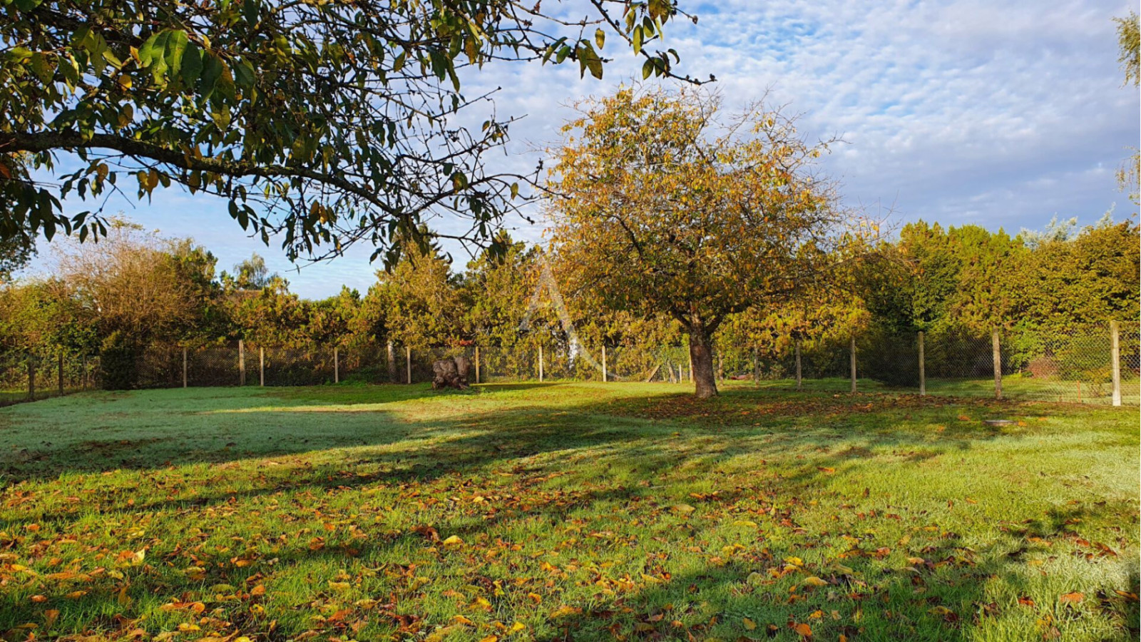 Terrain constructible de 1000m2 à Savonnières