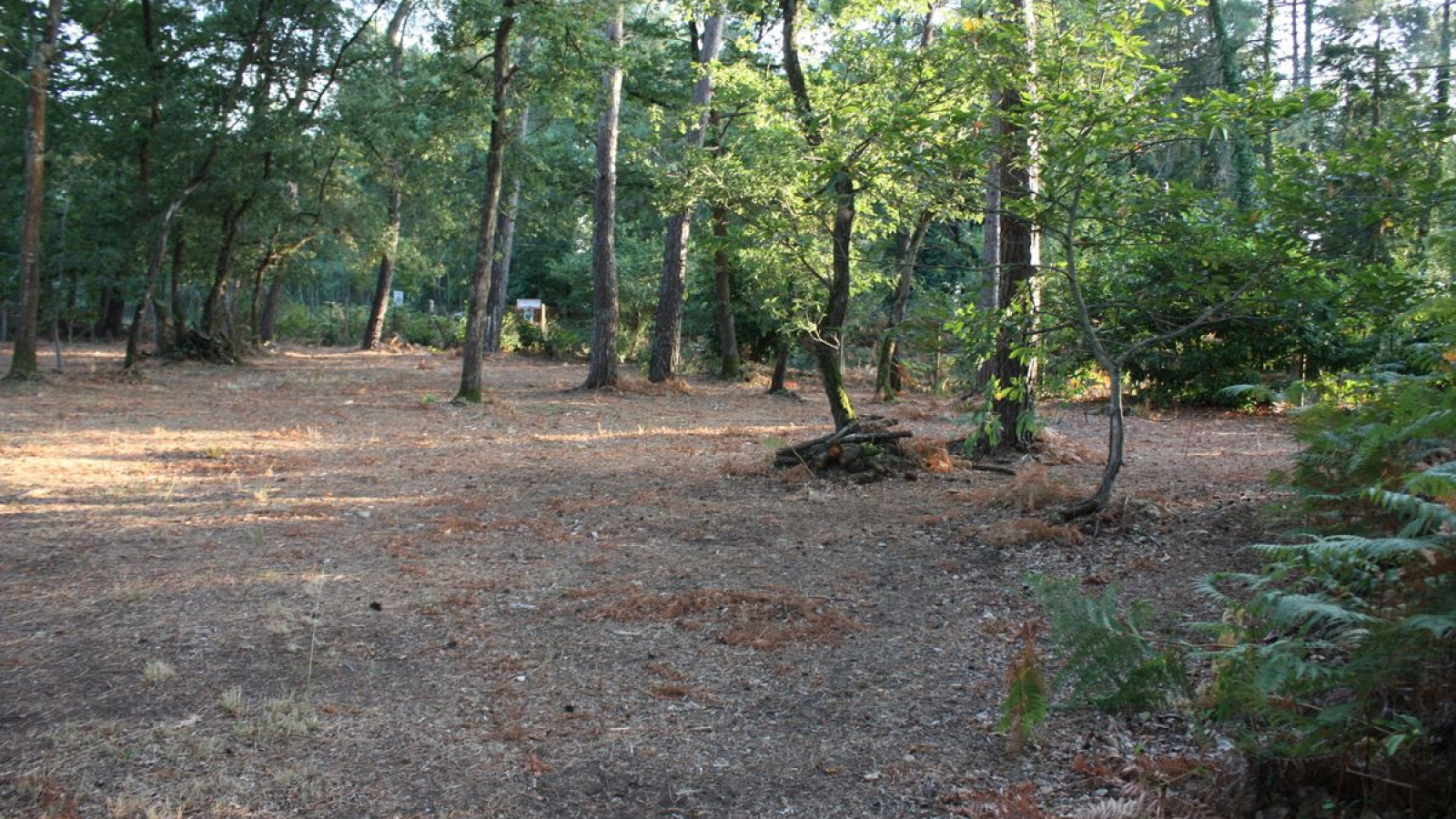 Terrain constructible de 900m2 à Saint-Benoît-la-Forêt