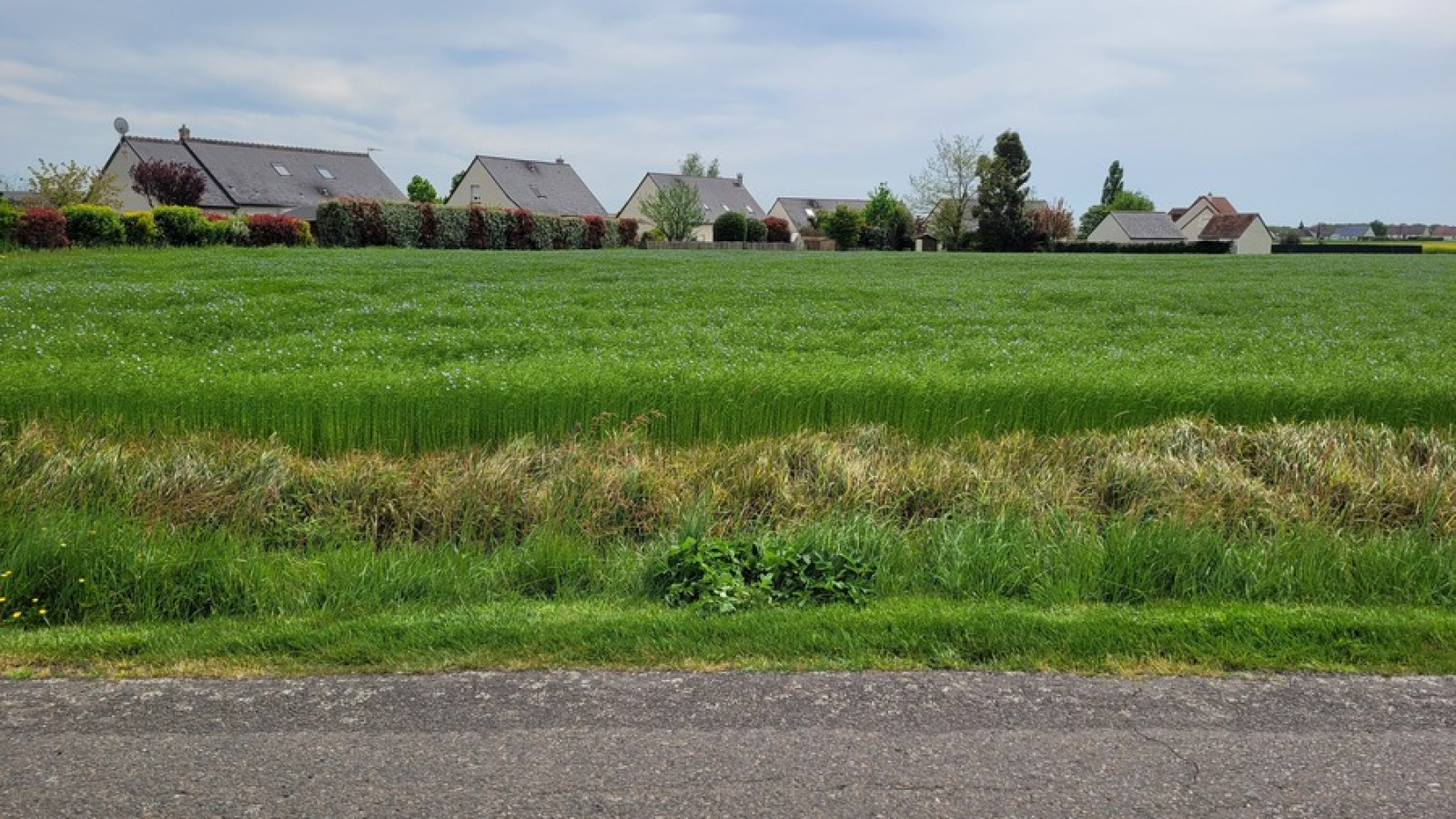 Terrain constructible de 600m2 à Saint-Laurent-en-Gâtines