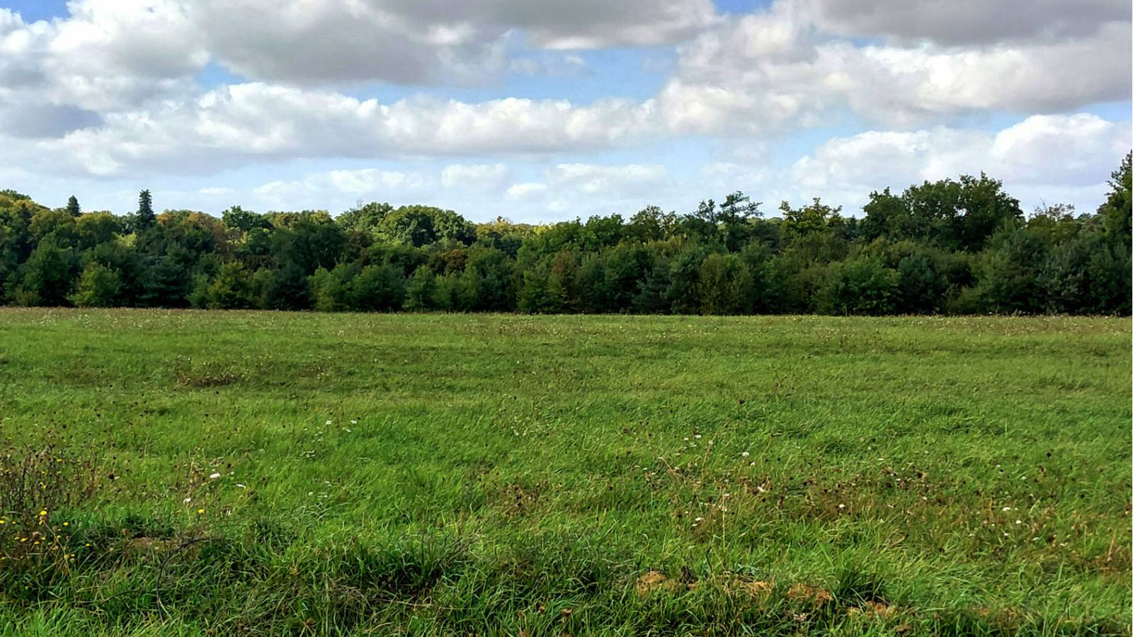 Terrain constructible de 387m2 à Parçay-Meslay