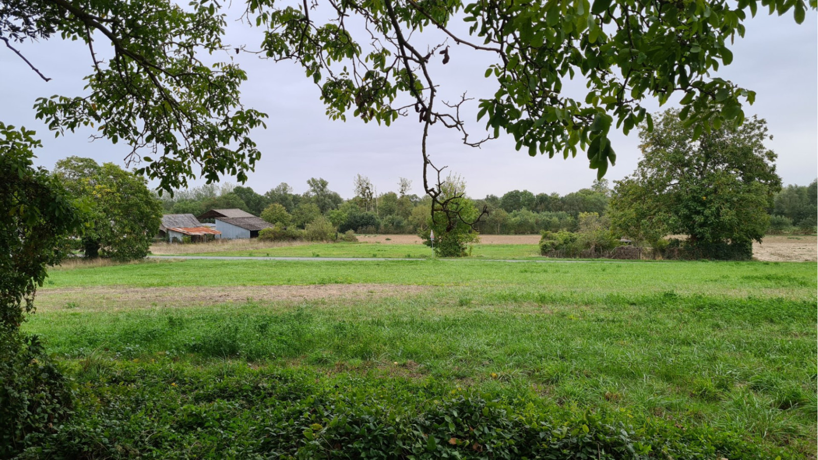 Terrain constructible de 800m2 à Saint-Benoît-la-Forêt