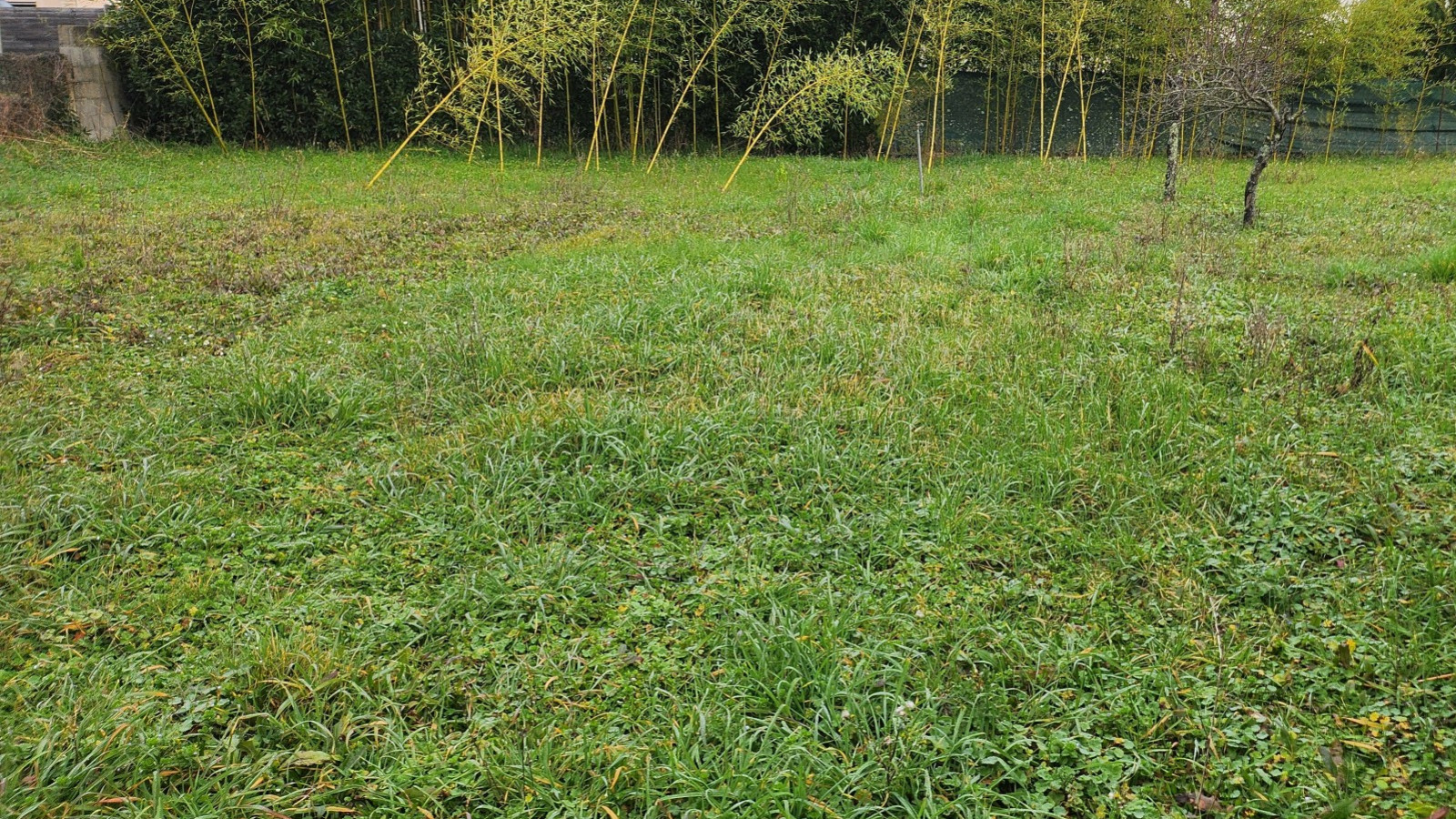 Terrain constructible de 650m2 à Ballan-Miré