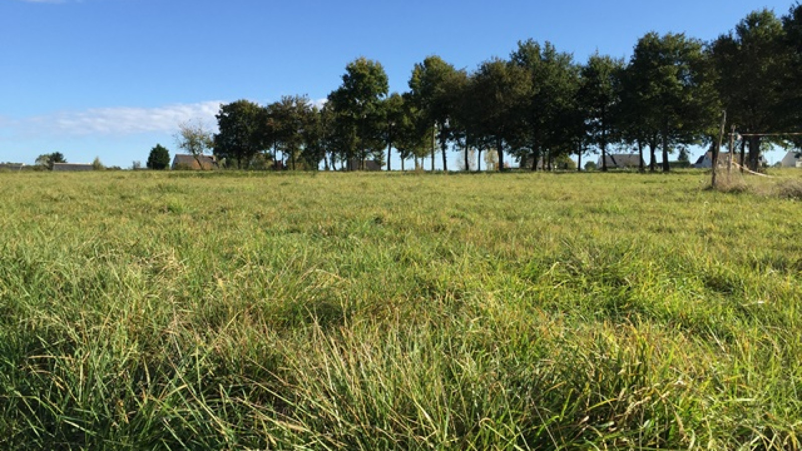 Terrain constructible de 968m2 à Charentilly