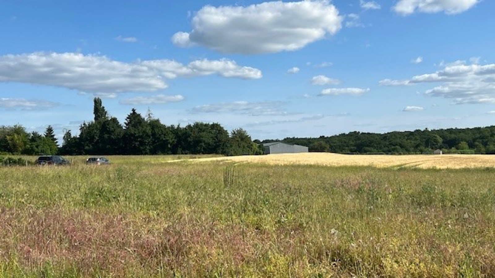 Terrain constructible de 553m2 à Montbazon
