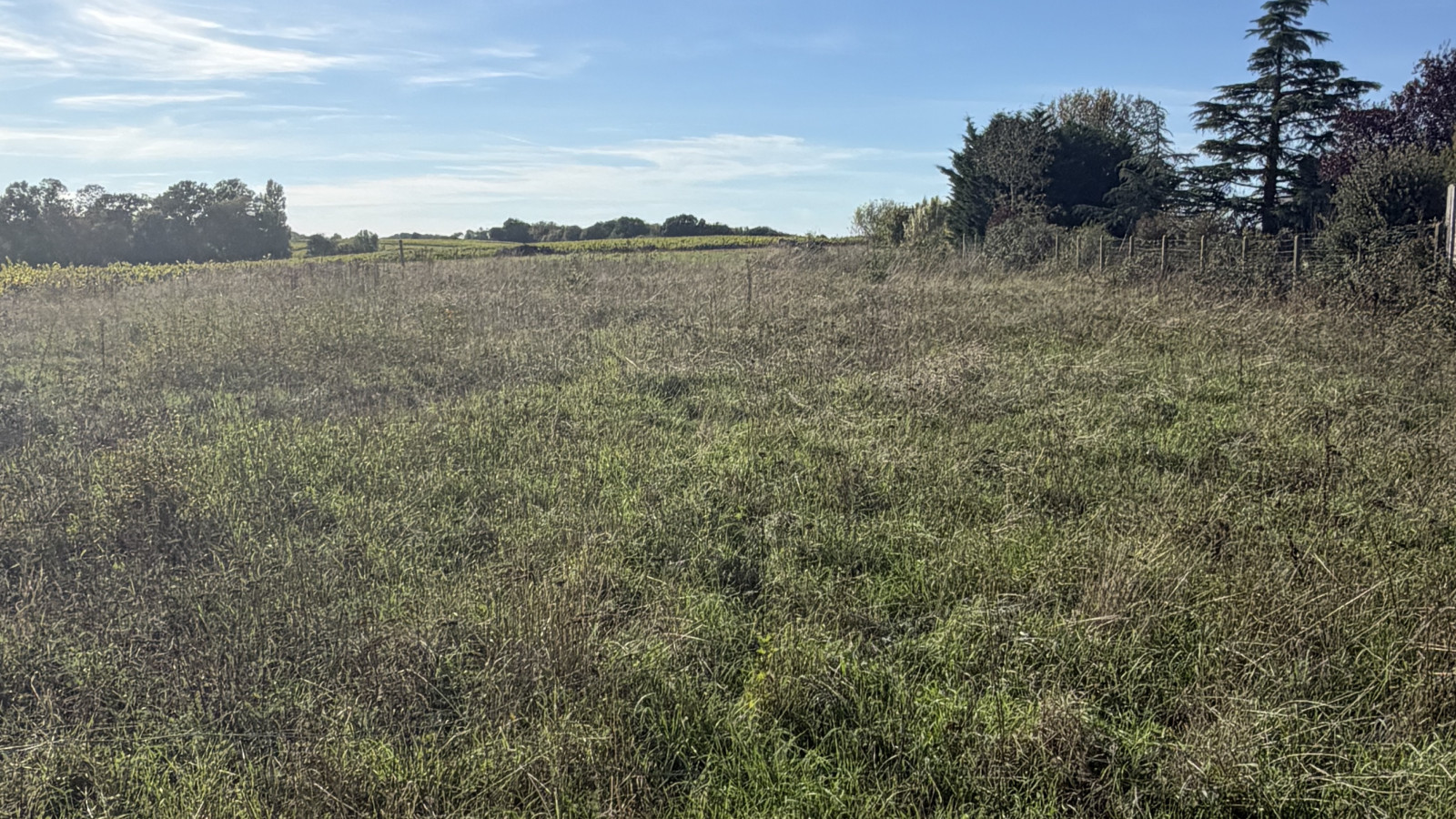 Terrain constructible de 599m2 à Boussay