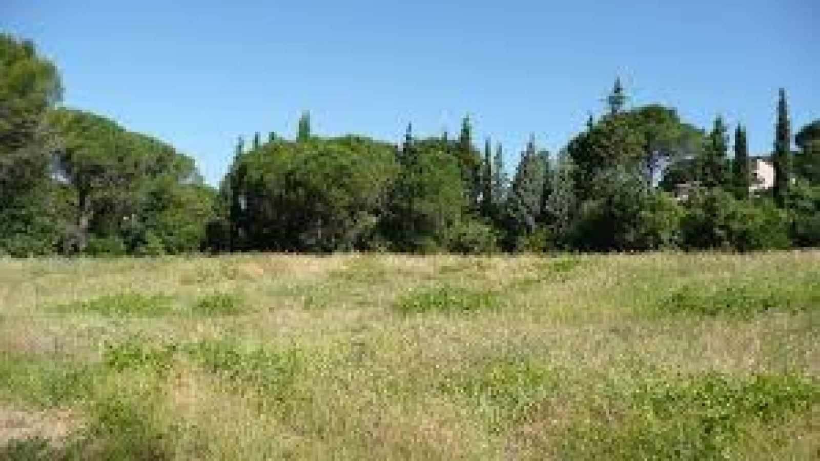 Terrain constructible de 800m2 à Savigny-en-Véron