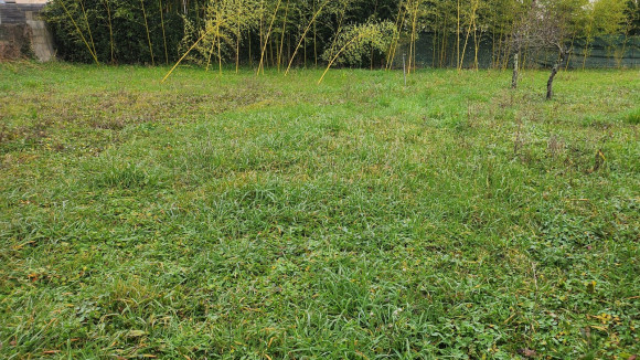TERRAIN 3.jpg