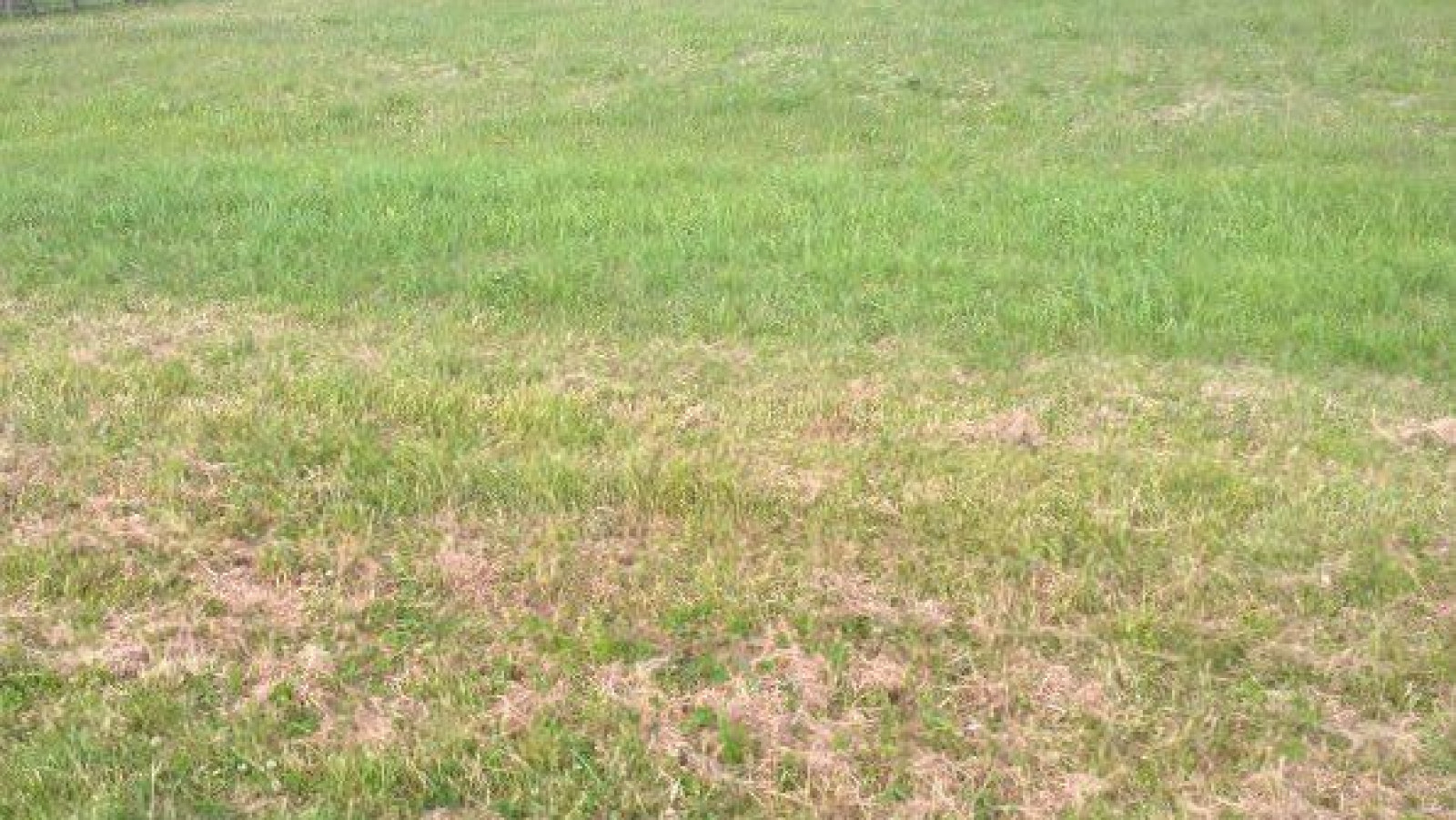 Terrain constructible de 1250m2 à Cravant-les-Côteaux