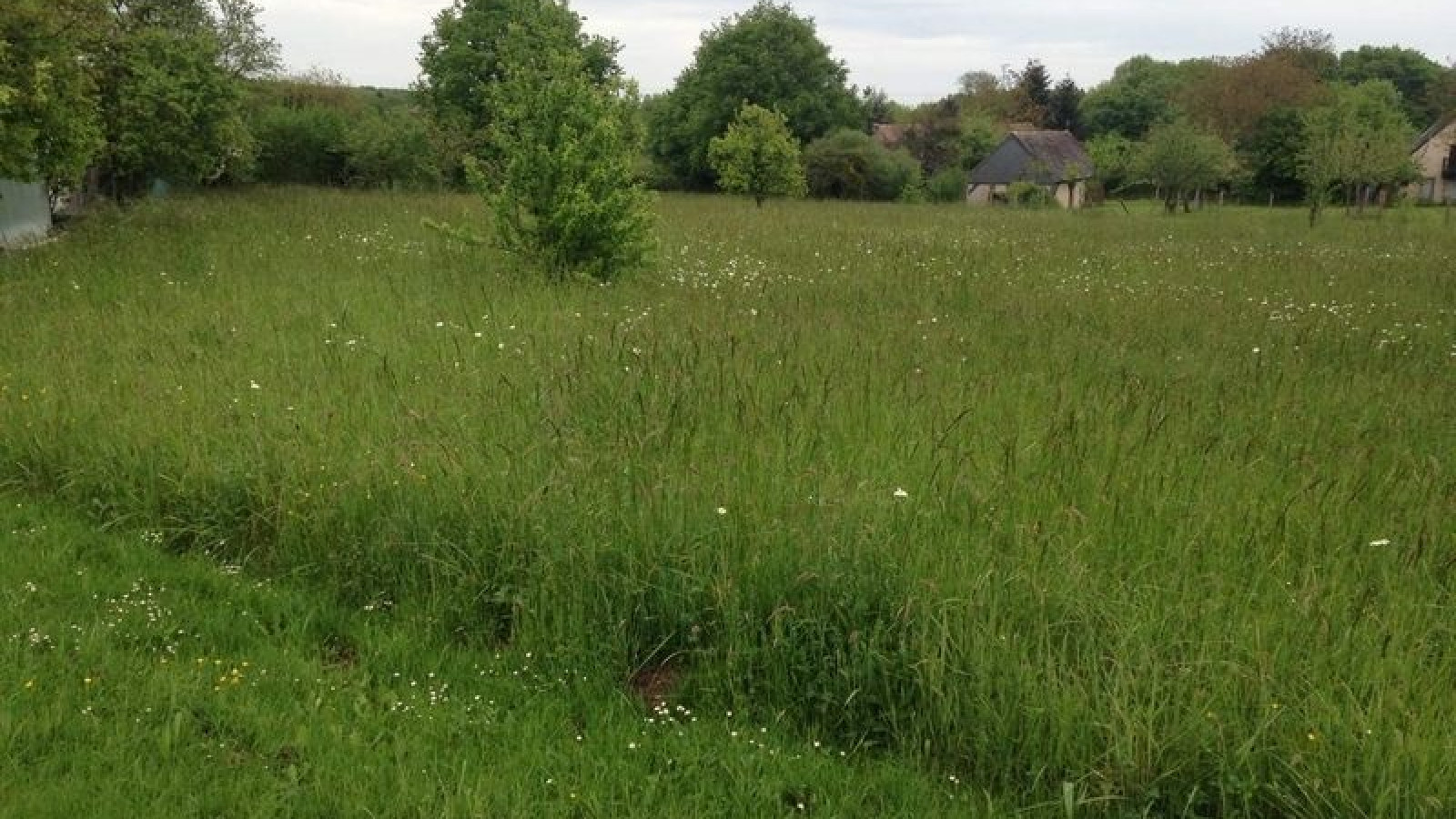 Terrain constructible de 343m2 à Amboise