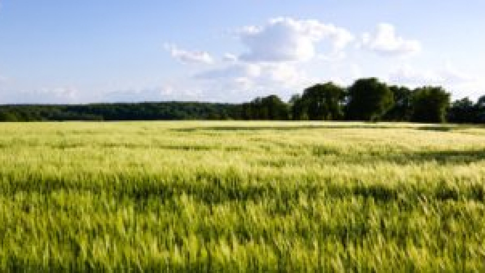 Terrain constructible de 571m2 à Véretz