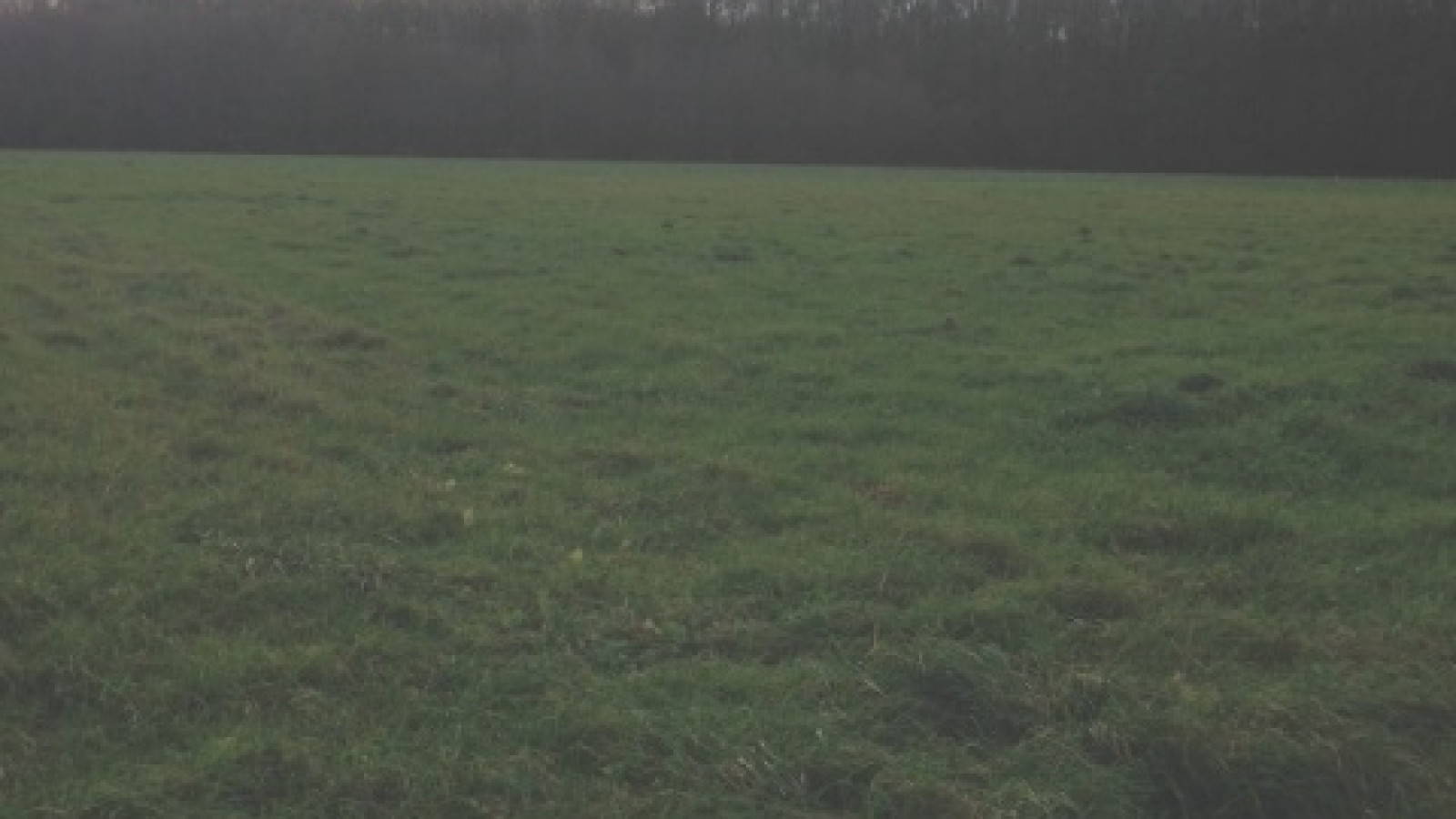 Terrain constructible de 580m2 à Saint-Paterne-Racan